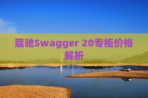 蔻驰Swagger 20专柜价格解析
